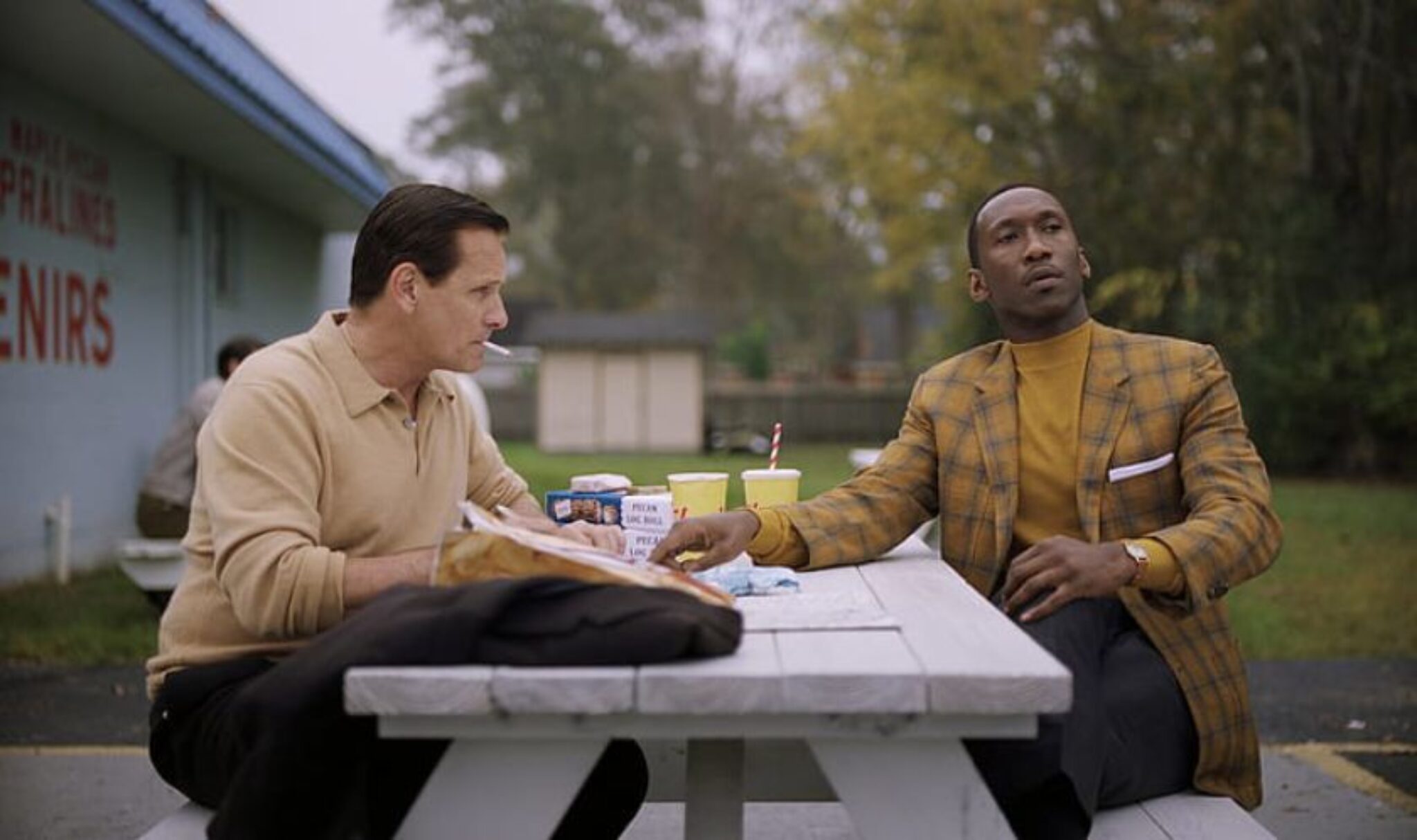 Green book streaming