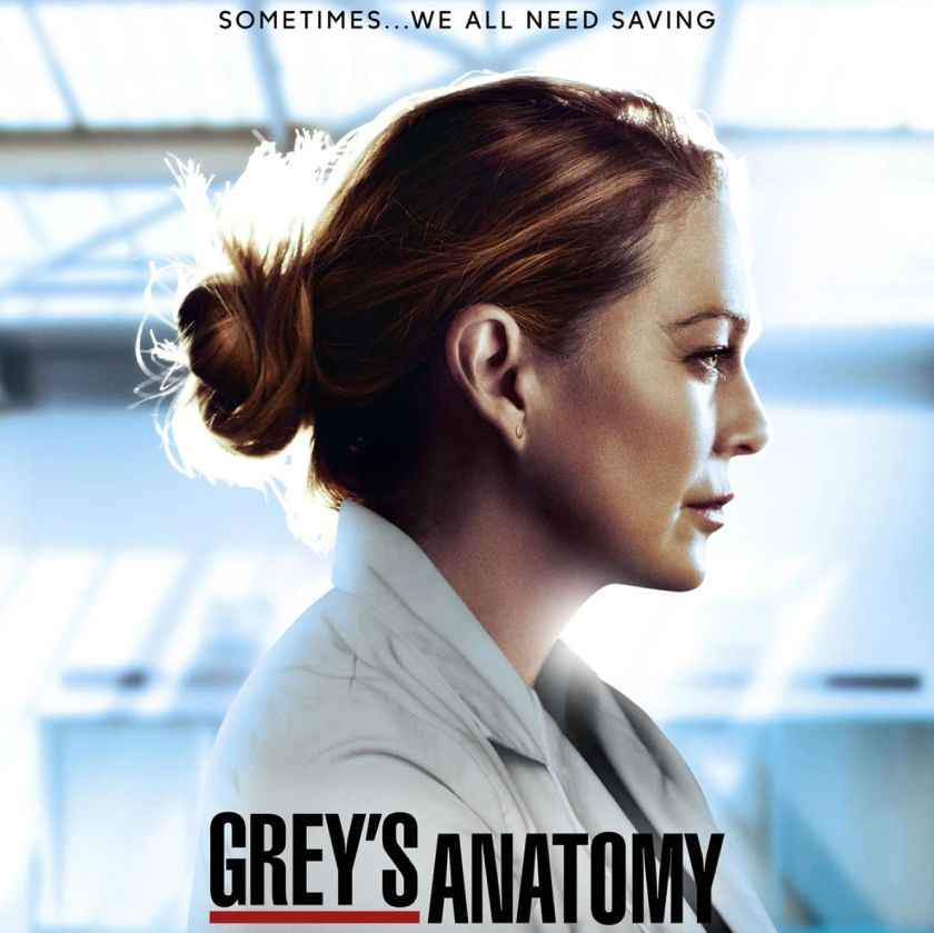 Regarder Greys anatomy saison 17 en streaming