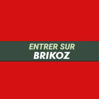 logo du site de streaming brikoz