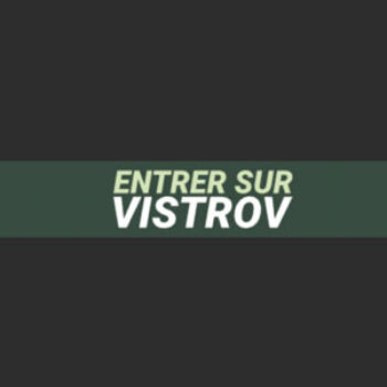 logo du site de streaming vistrov
