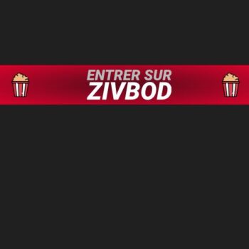 logo du site de streaming zivbod