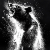 Cocaine Bear streaming