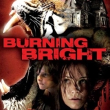 Dans l&rsquo;oeil du tigre streaming vf