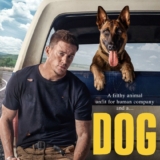 Dog streaming