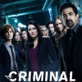 Esprits criminels streaming