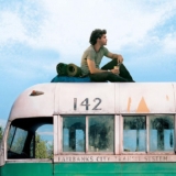Into the wild streaming