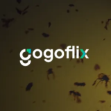 GOGOFLIX