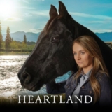 heartland saison 14 streaming